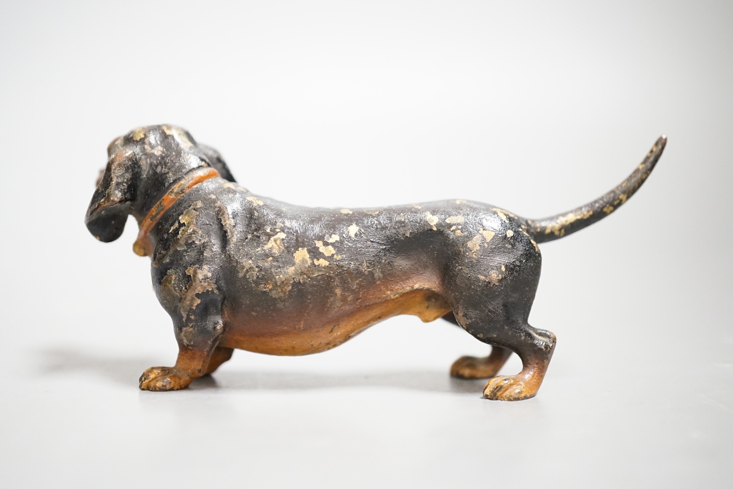 An Austrian cold painted model of a dachshund, stamped Geschutzt. 11cm long